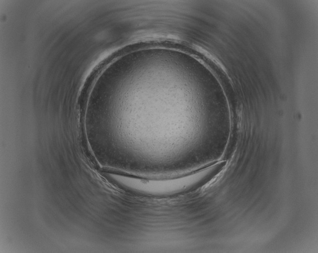 X0000072541021200607281618