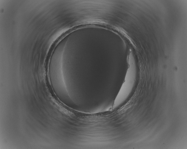 X0000072541024200607281618