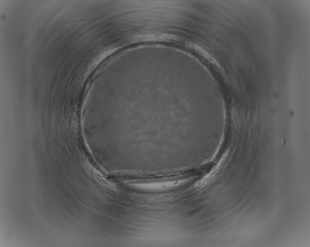 X0000072541025200607281618