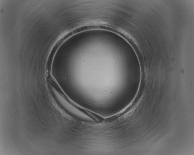 X0000072541029200607281618
