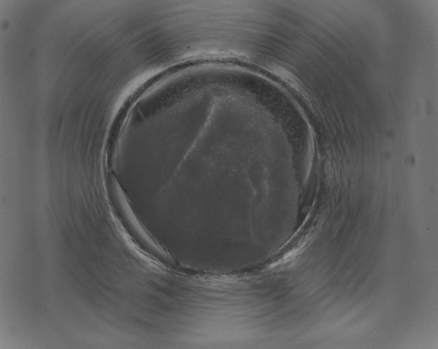 X0000072541030200607281618