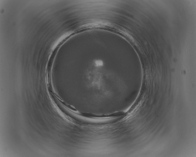 X0000072541034200607281619