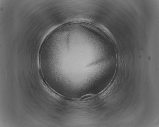X0000072541036200607281619