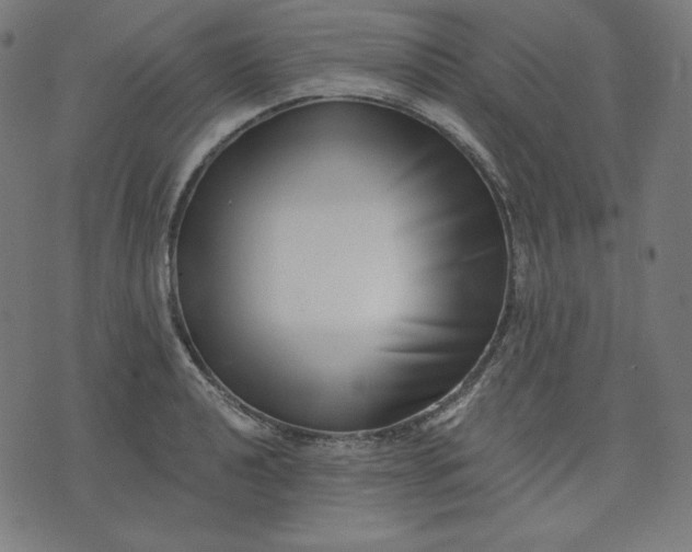 X0000072541040200607281619