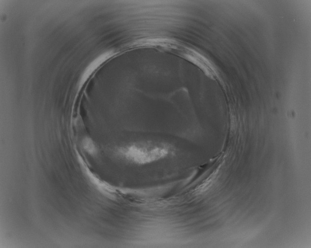X0000072541050200607281619