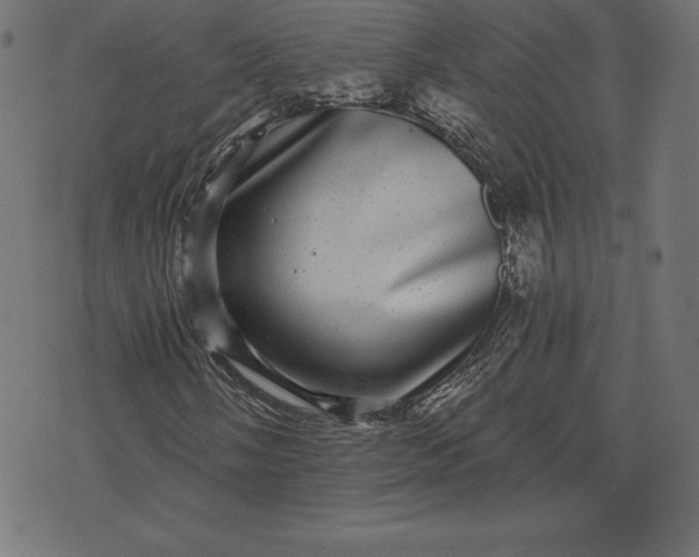 X0000072541058200607281618