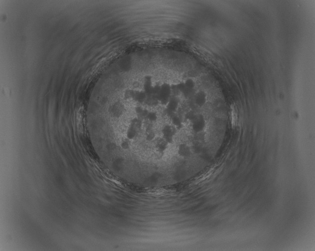 X0000072541059200607281618