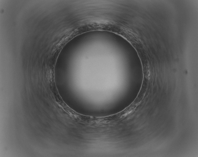 X0000072541061200607281618