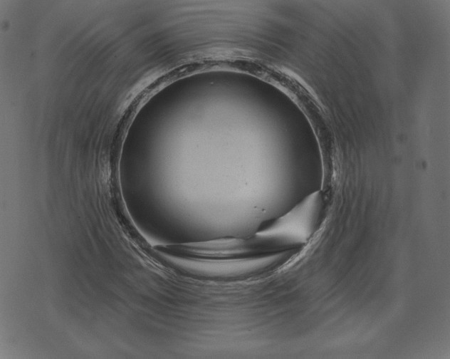 X0000072541065200607281618
