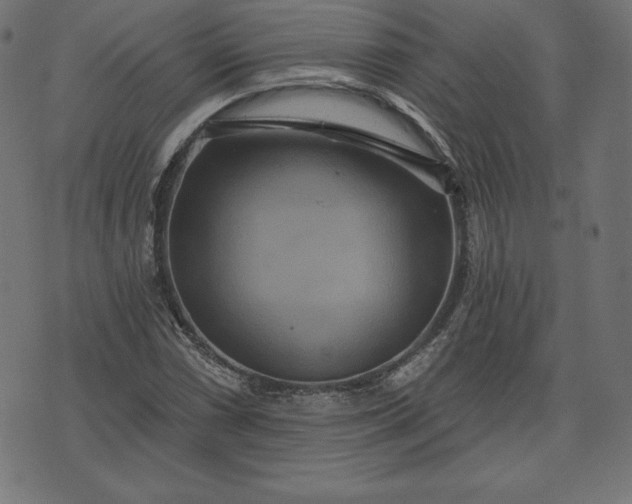 X0000072541066200607281618