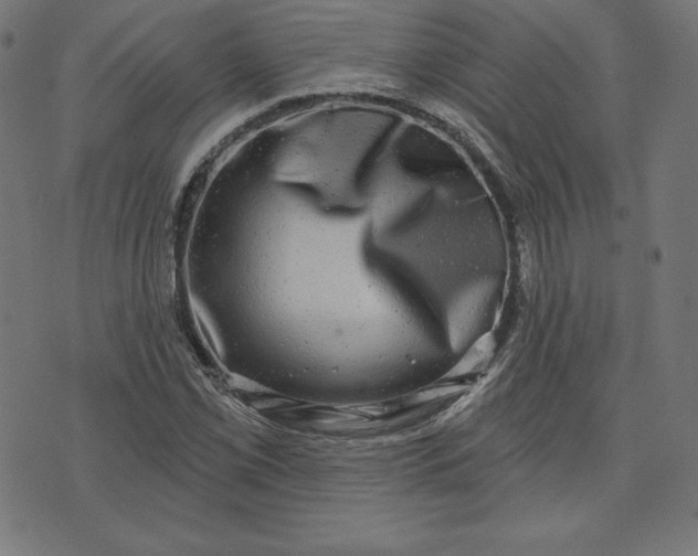 X0000072541069200607281618