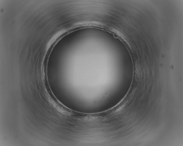 X0000072541082200607281618