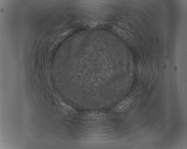 X0000072541105200607281617