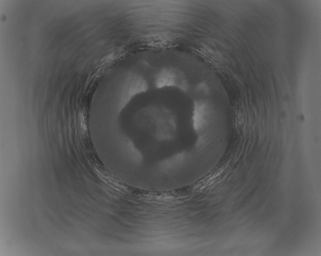 X0000072541106200607281617