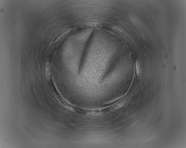 X0000072541107200607281617