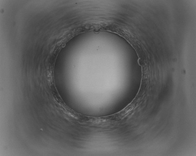 X0000072541109200607281617