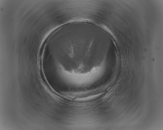 X0000072541124200607281617