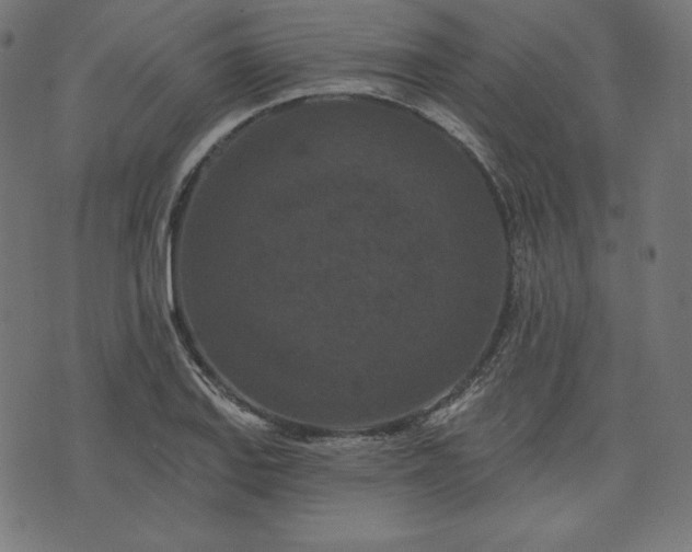 X0000072541127200607281617