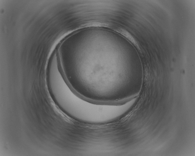 X0000072541132200607281617