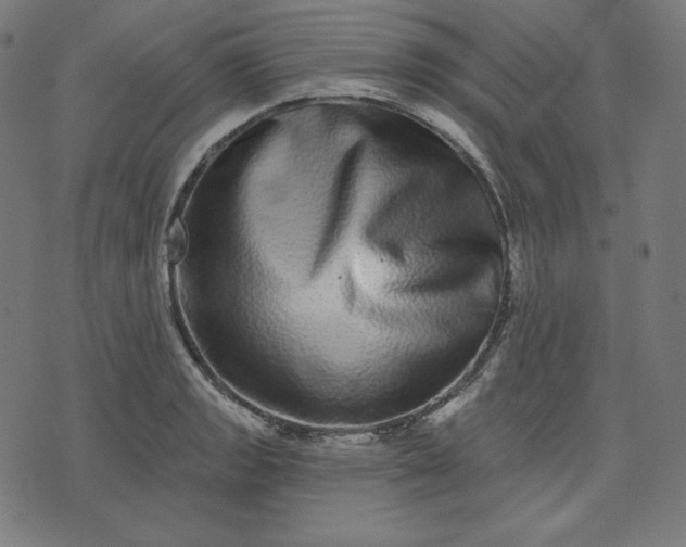 X0000072541133200607281617
