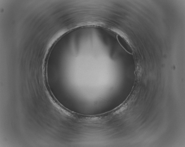 X0000072541135200607281617