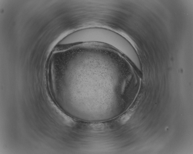 X0000072541142200607281617