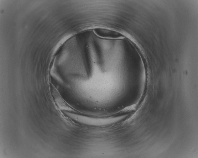 X0000072541145200607281617