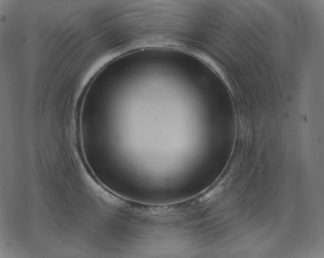 X0000072541147200607281617