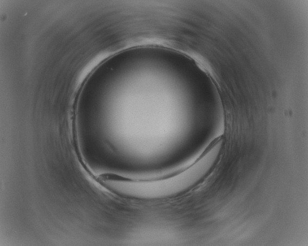 X0000072541151200607281617