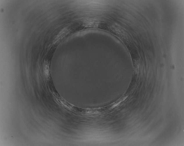 X0000072541154200607281617