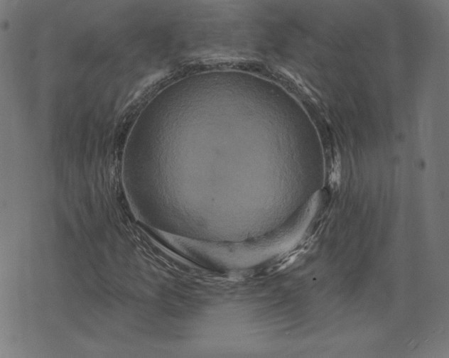 X0000072541157200607281617