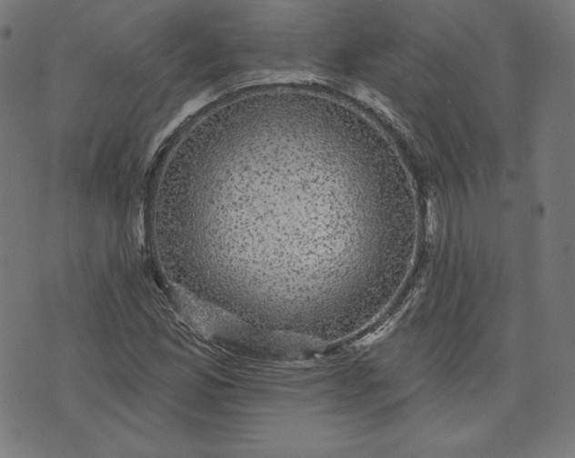 X0000072541165200607281616