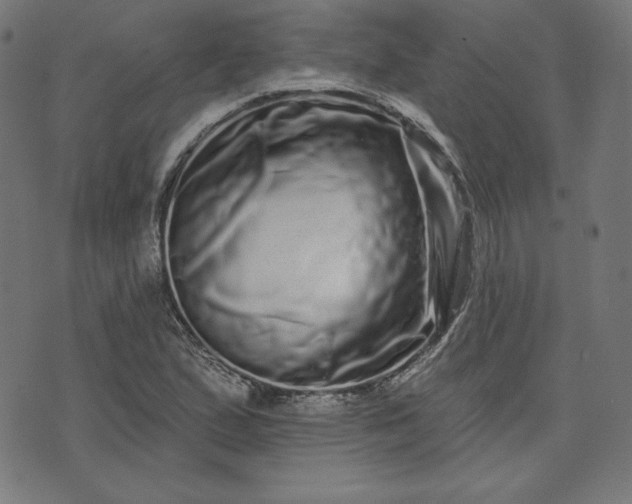 X0000072541167200607281616