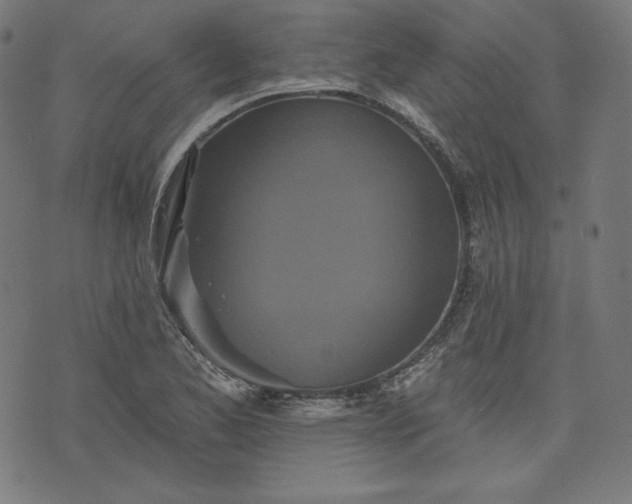 X0000072541173200607281616