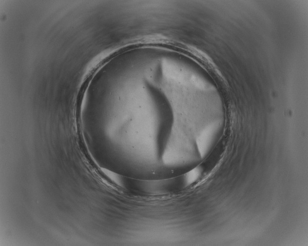 X0000072541176200607281616