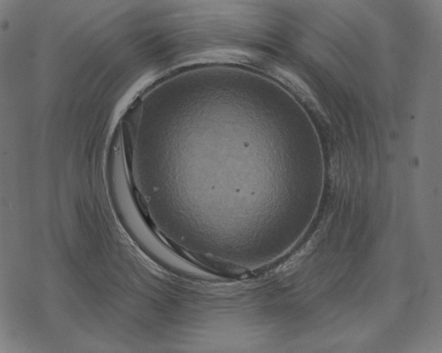 X0000072541180200607281616