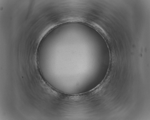 X0000072541182200607281616