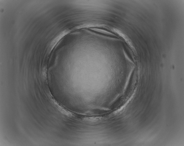X0000072541185200607281616