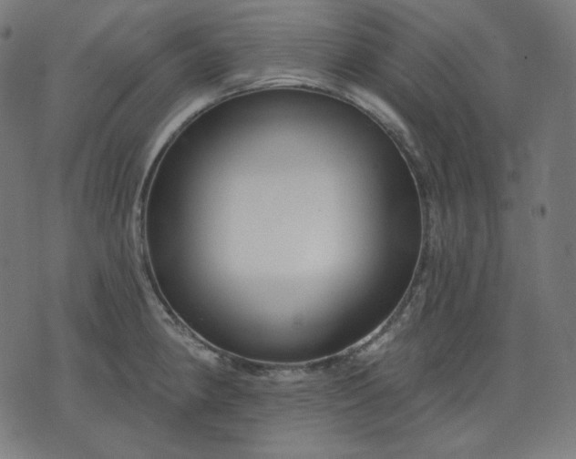 X0000072541190200607281616