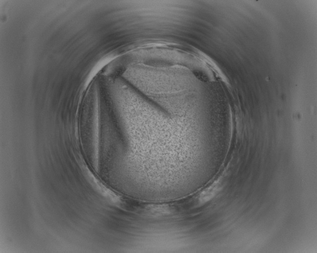 X0000072541194200607281616