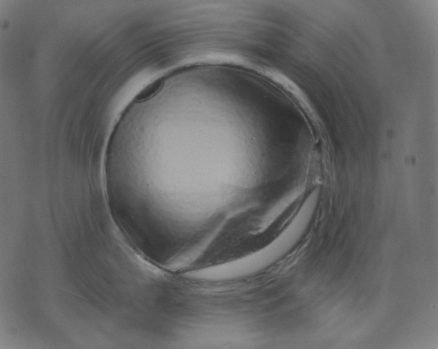 X0000072541199200607281616