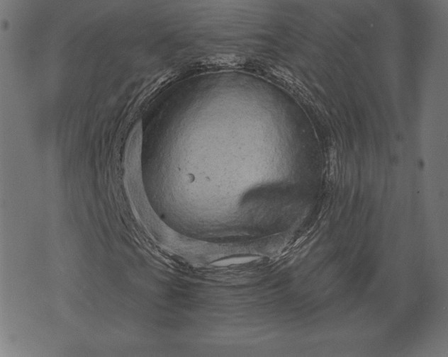 X0000072541201200607281615