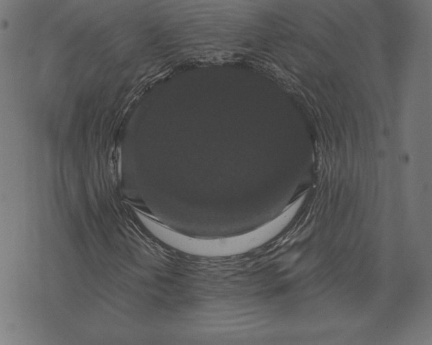 X0000072541202200607281615