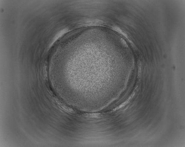 X0000072541211200607281615