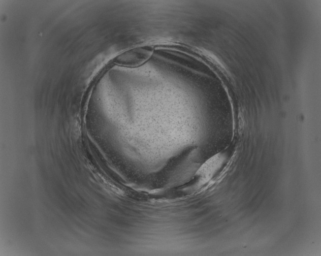 X0000072541212200607281615