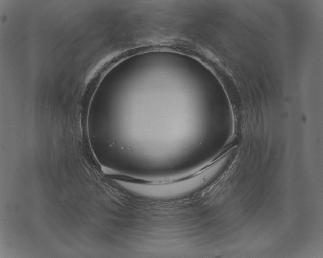 X0000072541214200607281615