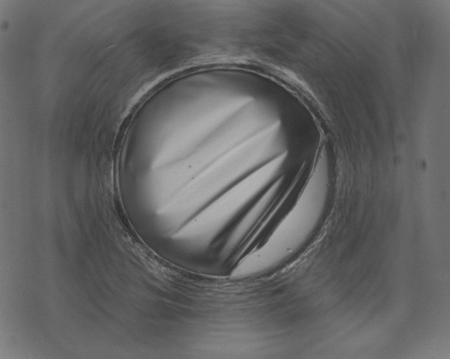 X0000072541220200607281615