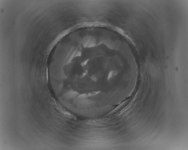 X0000072541221200607281615