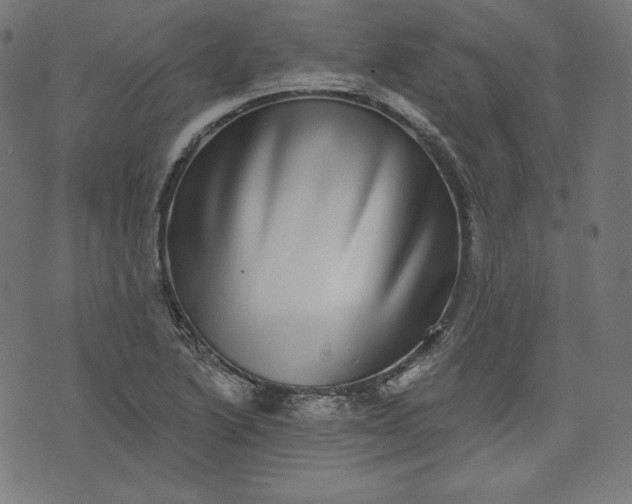 X0000072541222200607281615