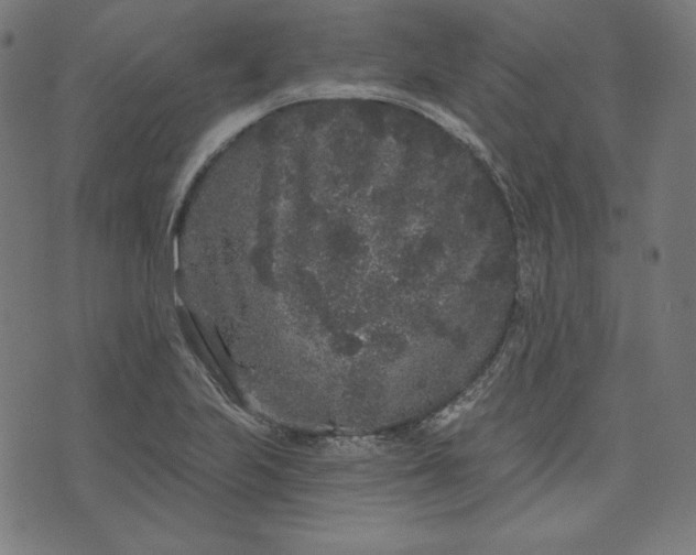 X0000072541223200607281615